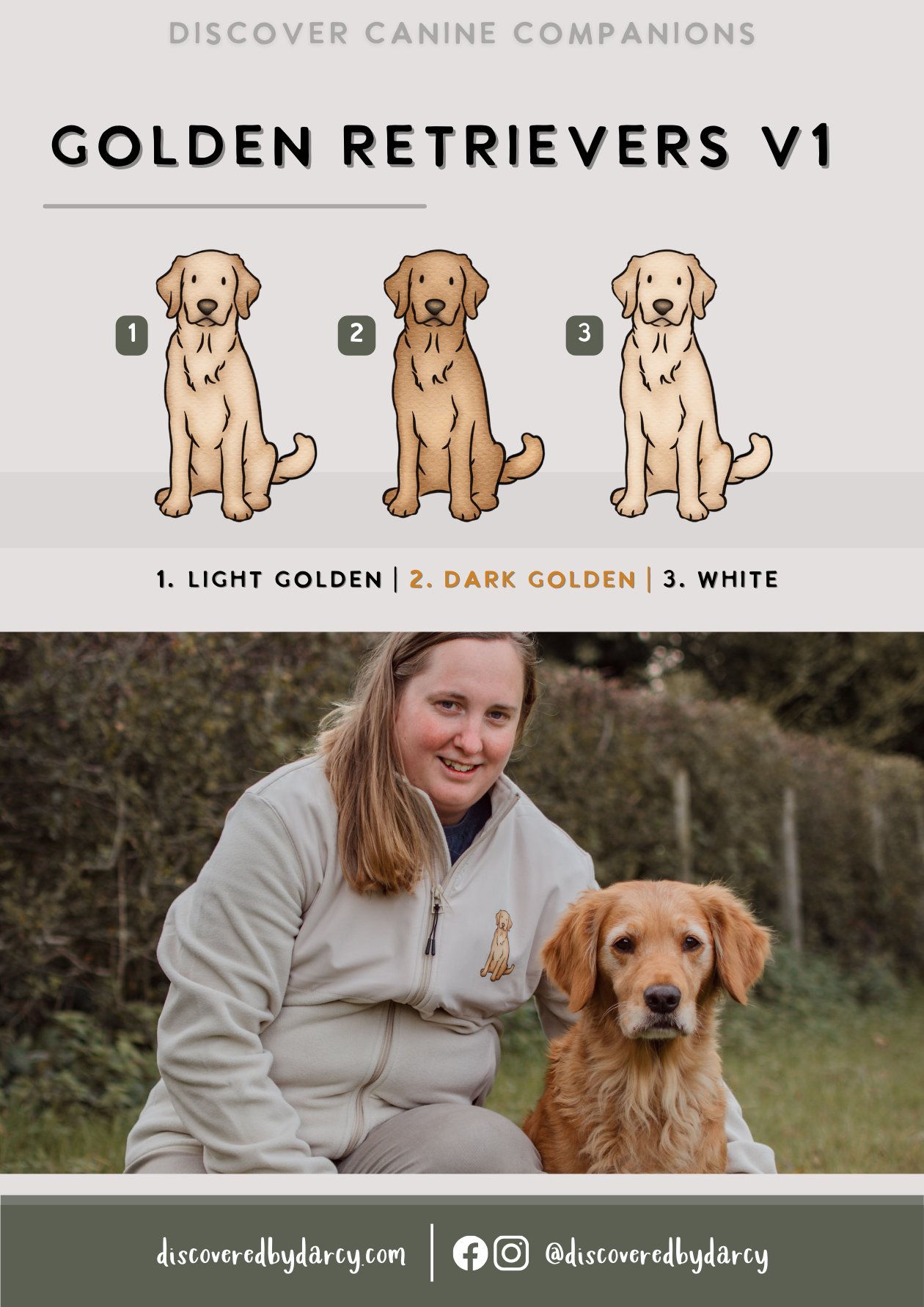 Golden Retrievers - Build-Your-Own