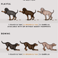 Dobermanns - Build-Your-Own