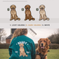 Golden Retrievers - Build-Your-Own