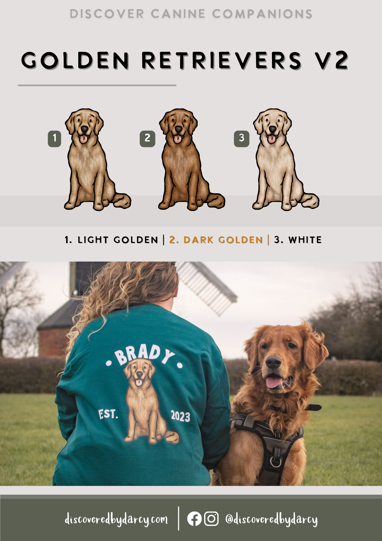 Golden Retrievers - Build-Your-Own