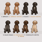 Doodles - Build-Your-Own
