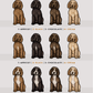 Doodles - Build-Your-Own