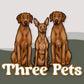 Multi-Pets