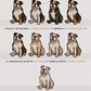 English Bulldogs - Build-Your-Own