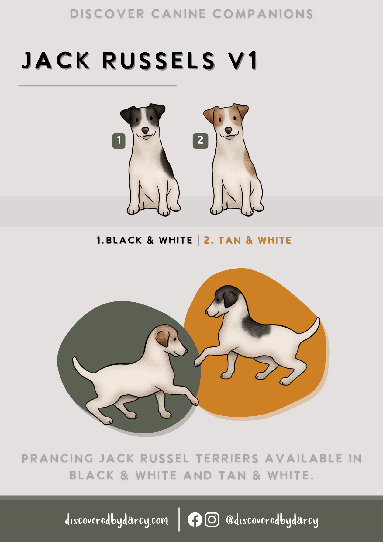 Jack Russel Terriers - Build-Your-Own