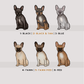 French Bulldogs - Build-Your-Own