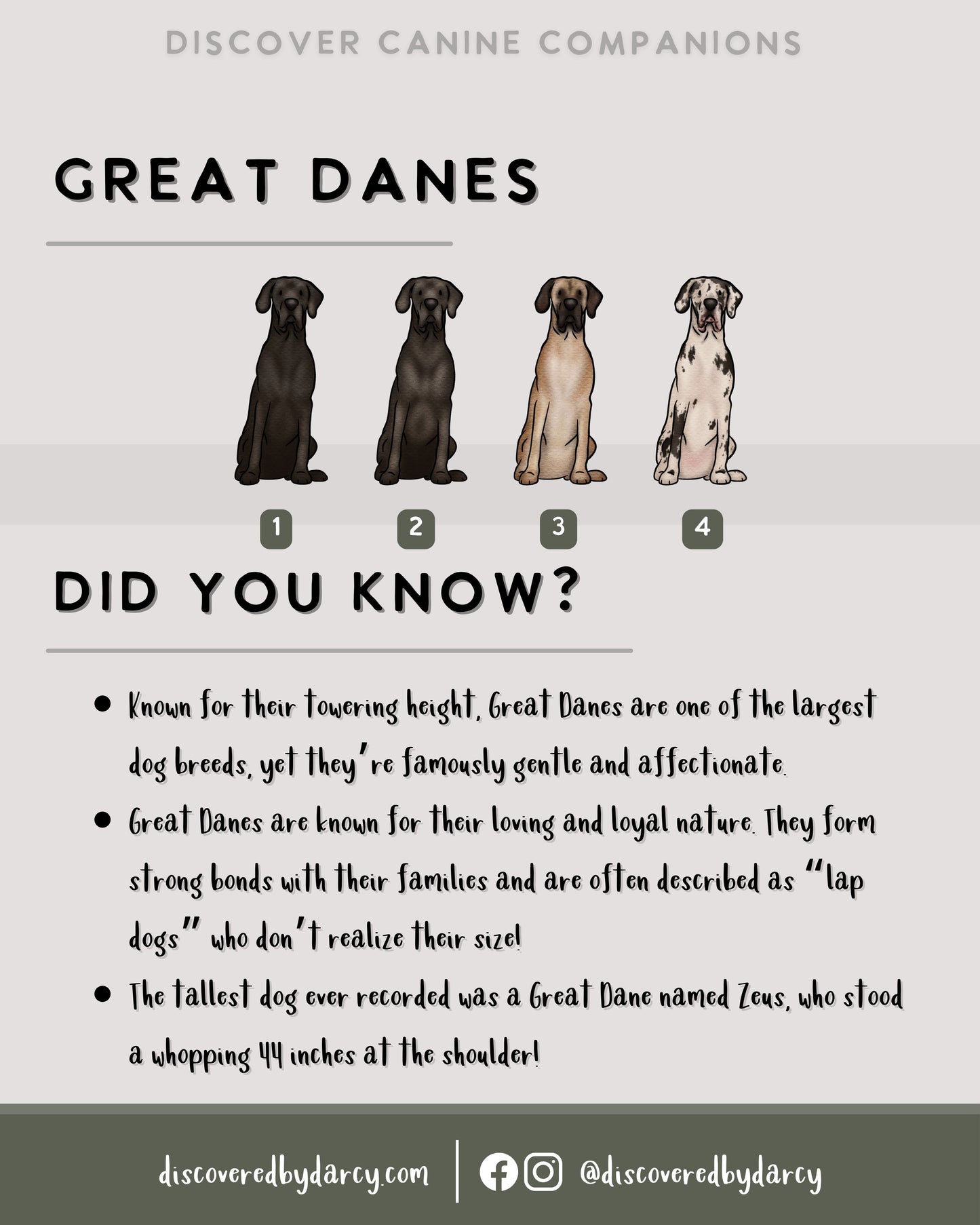 Great Danes - Build-Your-Own