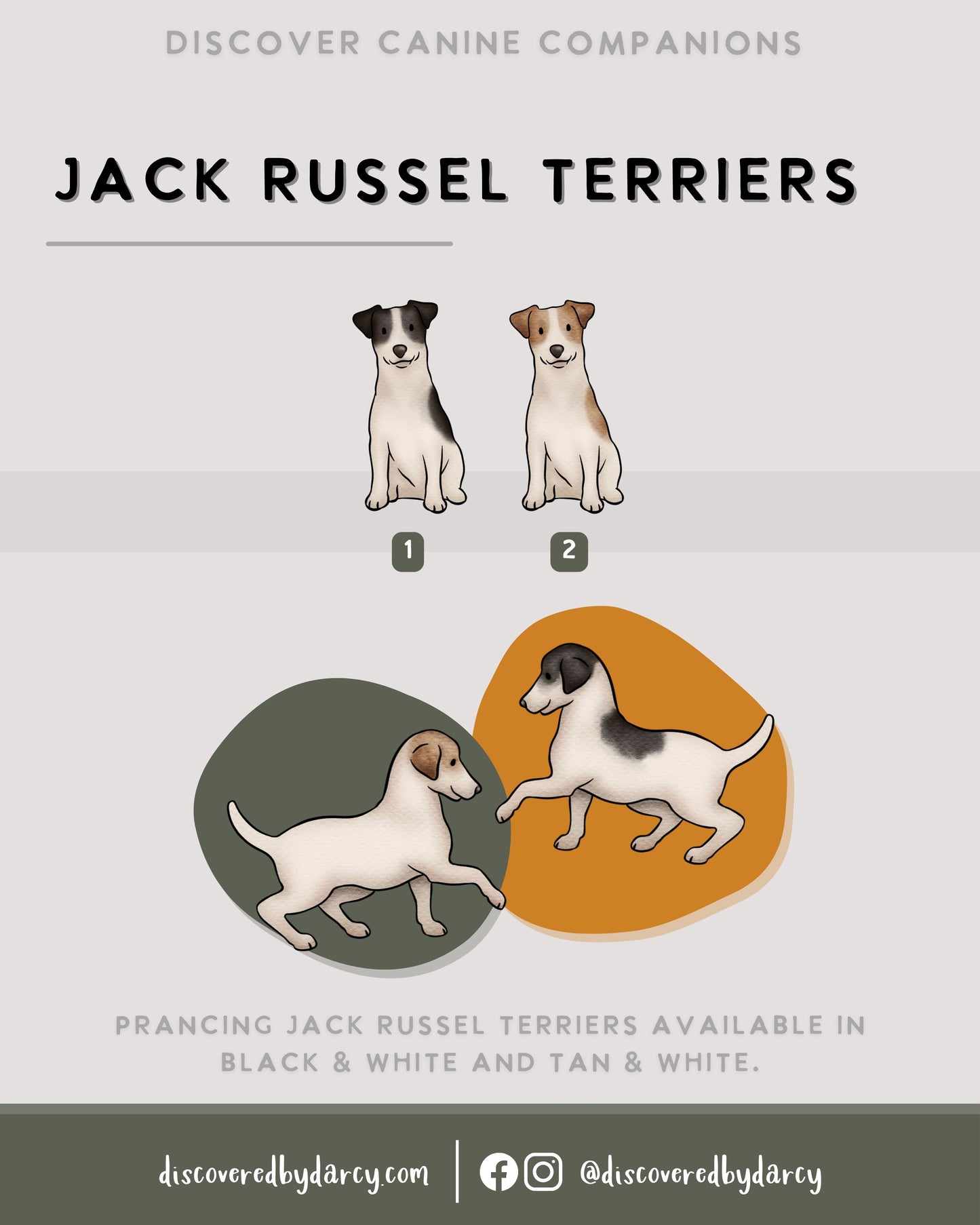 Jack Russel Terriers - Build-Your-Own