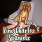 King Charles Spaniels - Build-Your-Own