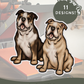 English Bulldogs - Build-Your-Own
