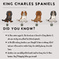 King Charles Spaniels - Build-Your-Own