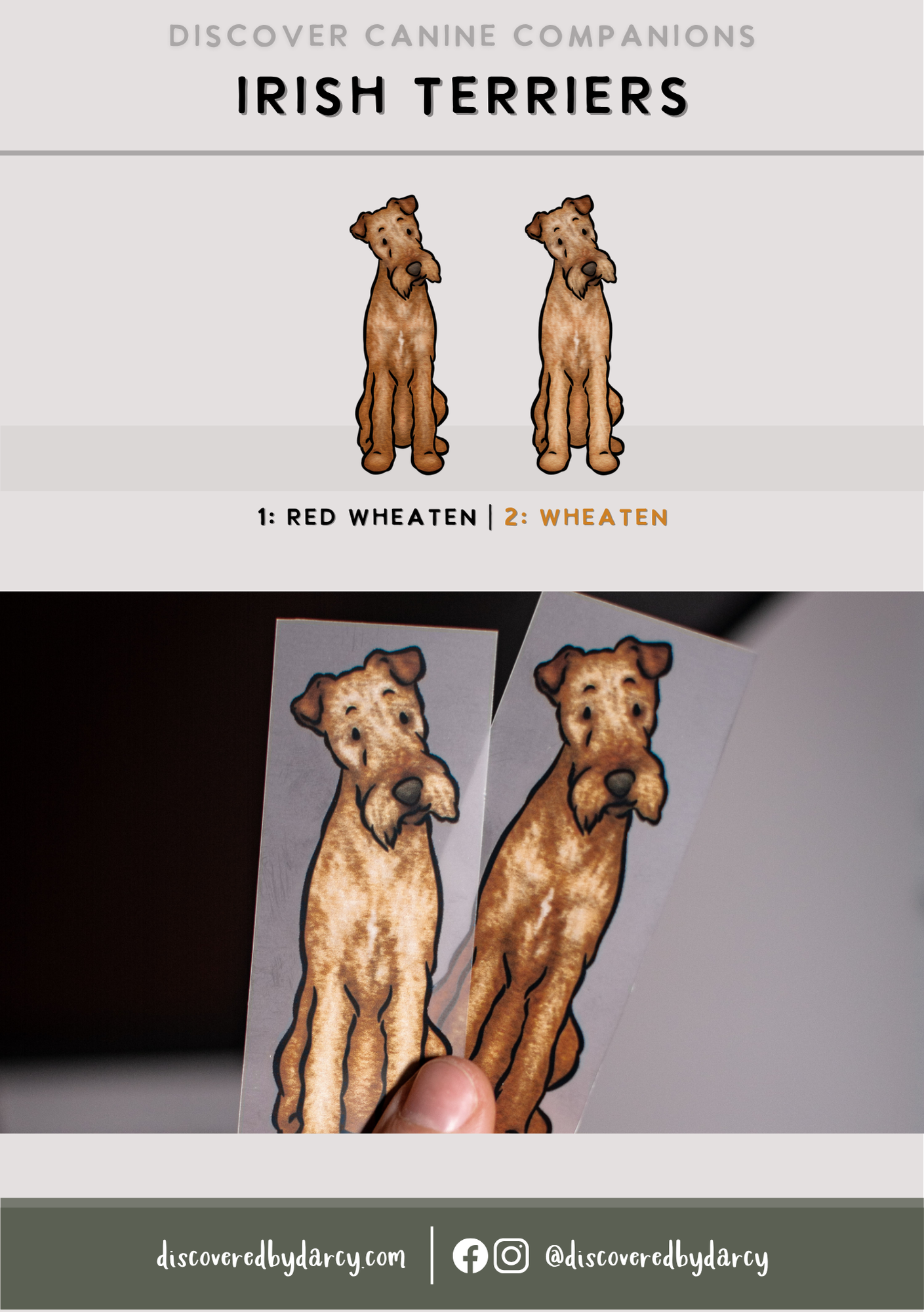 Irish Terriers - Build-Your-Own