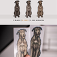 Irish Wolfhounds - Build-Your-Own