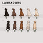 Labradors - Build-Your-Own