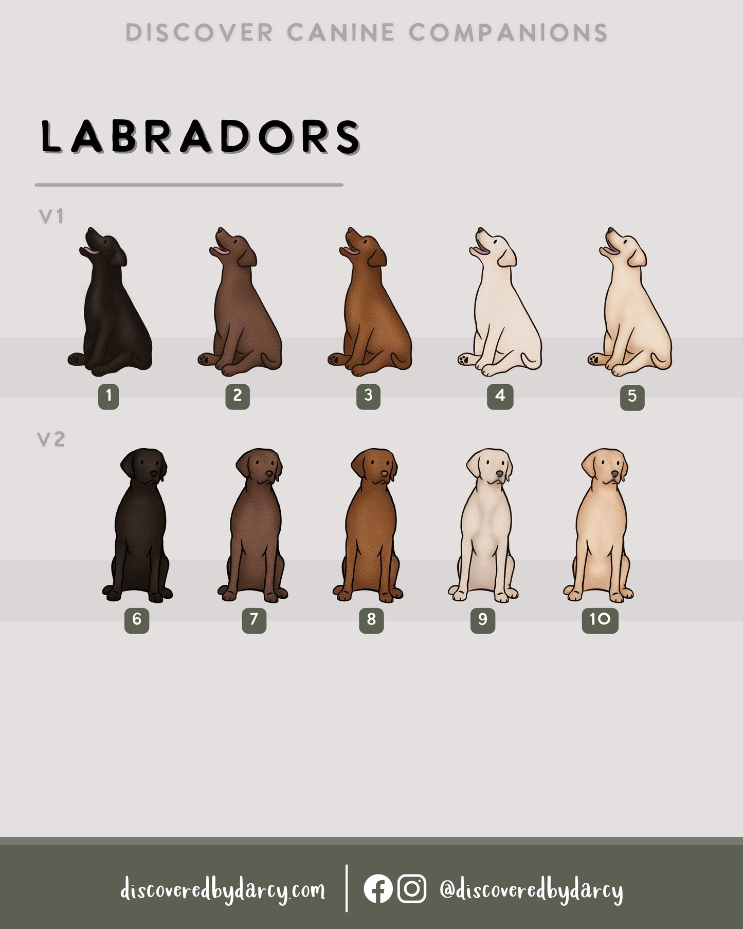 Labradors - Build-Your-Own