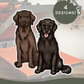Flatcoat Retrievers - Build-Your-Own