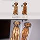 Rhodesian Ridgebacks - Build-Your-Own