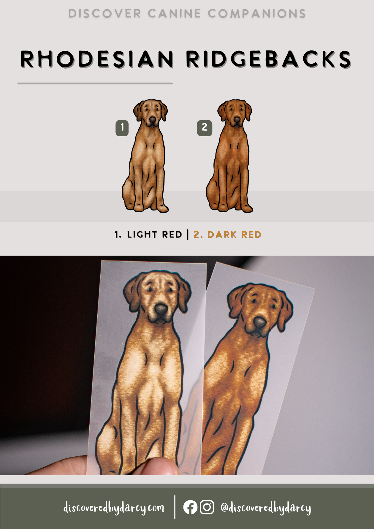 Rhodesian Ridgebacks - Build-Your-Own