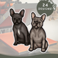 French Bulldogs - Build-Your-Own