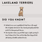 Lakeland Terriers - Build-Your-Own