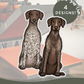 German Pointers - Build-Your-Own