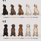 Labradors - Build-Your-Own