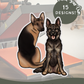 German Shepherds - Build-Your-Own