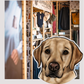 Labradors - Build-Your-Own