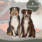 Australian Shepherds - Build-Your-Own