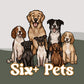 Multi-Pets