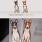 Basenjis - Build-Your-Own