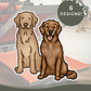 Golden Retrievers - Build-Your-Own