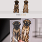 Leonbergers - Build-Your-Own