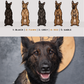 Malinois - Build-Your-Own