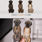 Mastiff - Build-Your-Own