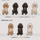 Miniature Poodles - Build-Your-Own
