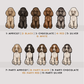 Miniature Poodles - Build-Your-Own