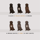 Newfoundlands - Build-Your-Own