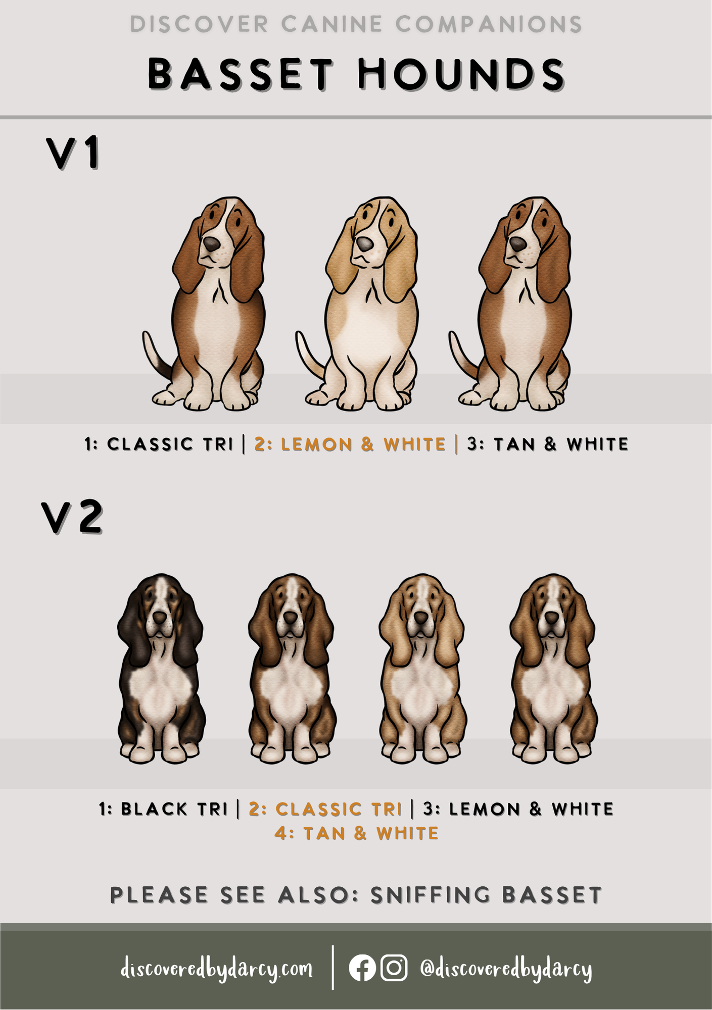 Basset Hounds - Build-Your-Own