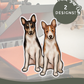 Basenjis - Build-Your-Own