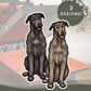 Irish Wolfhounds - Build-Your-Own