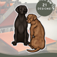 Labradors - Build-Your-Own