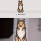 Rough Collies - Build-Your-Own
