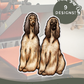 Afghan Hounds - Build-Your-Own