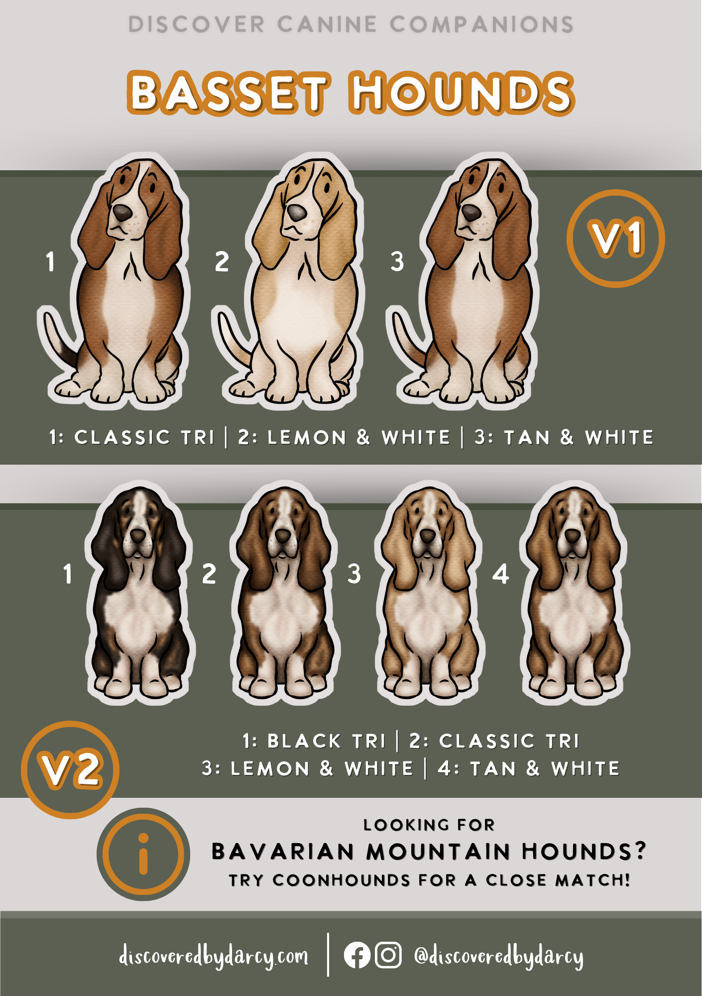 Basset Hounds - Build-Your-Own
