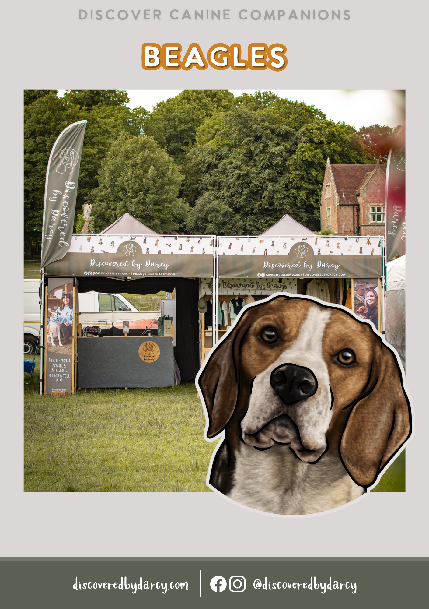 Beagles - Build-Your-Own