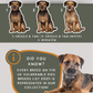 Border Terriers - Build-Your-Own