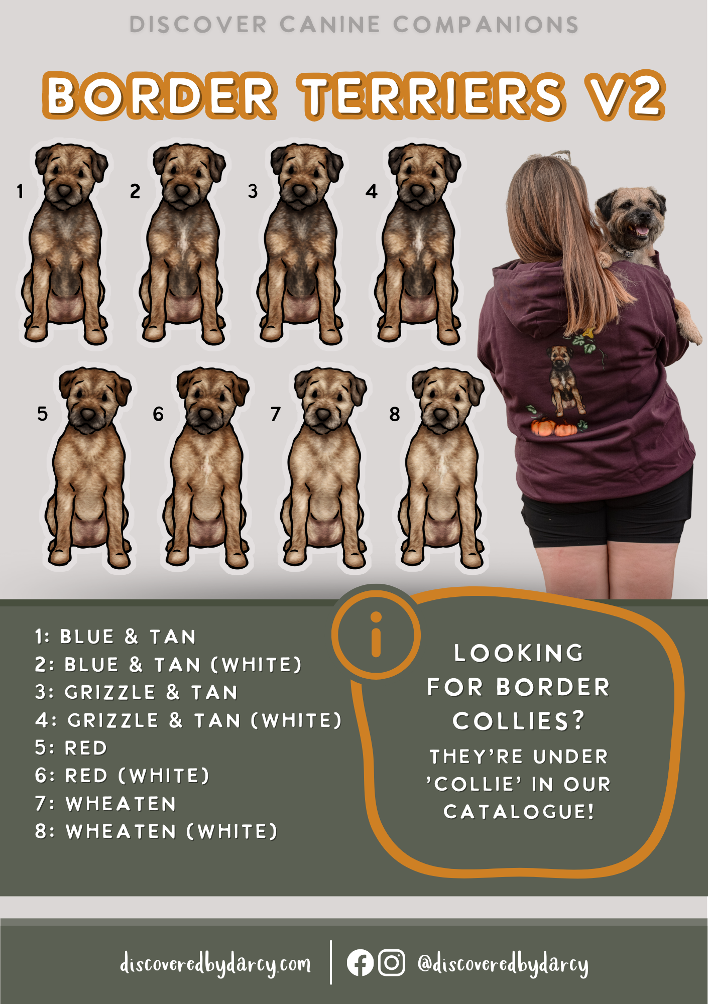 Border Terriers - Build-Your-Own