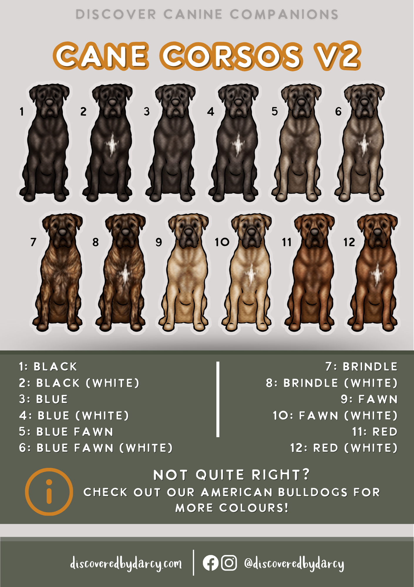 Cane Corsos - Build-Your-Own