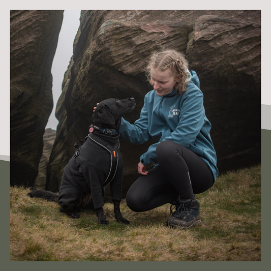 Recycled Softshell - With Hood
